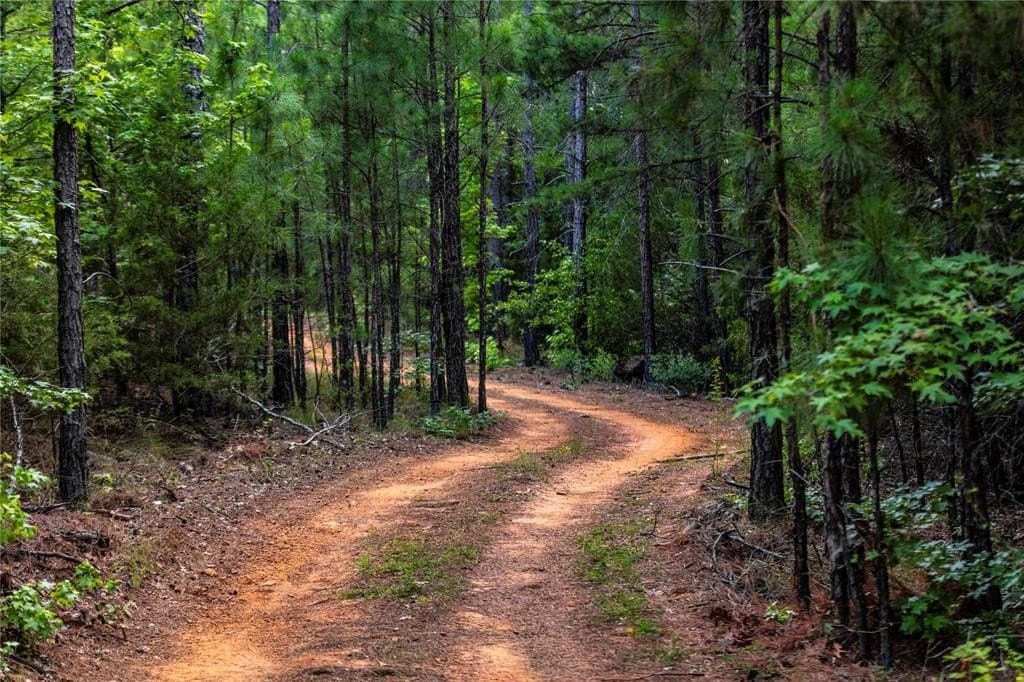 590 acres in Henderson County gallery image 3