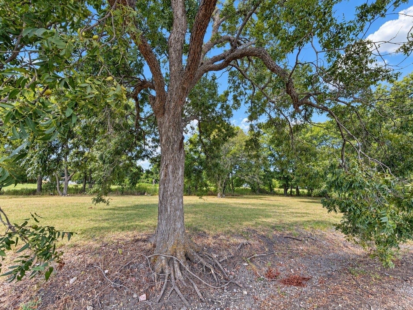 0.32 acres in Fannin County - photo 4