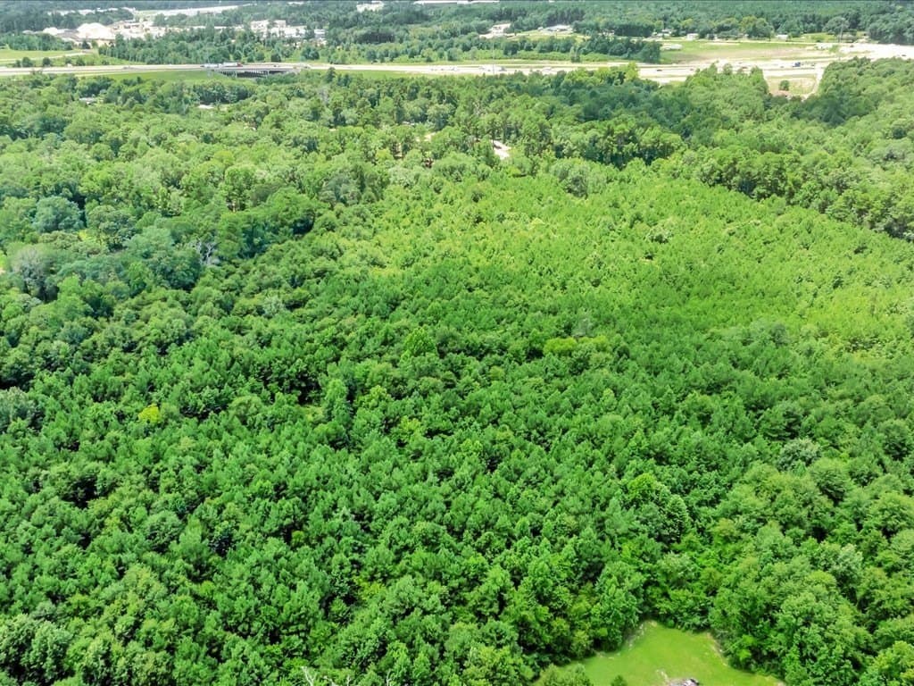 12.24 acres in Texas County gallery image 4