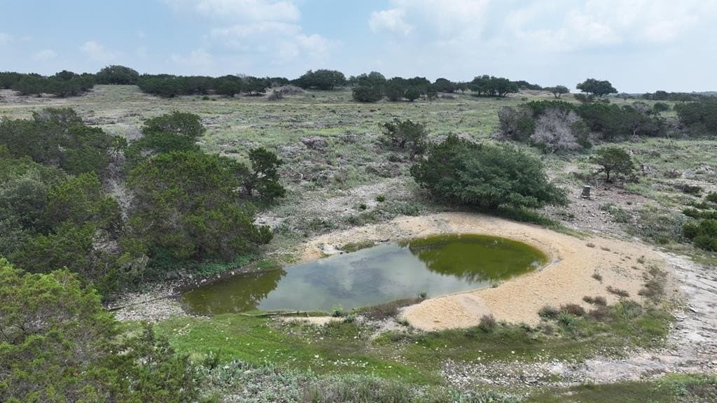 124.89 acres in Edwards County gallery image 4