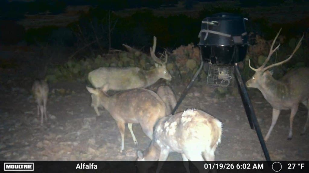 124.89 acres in Edwards County gallery image 3