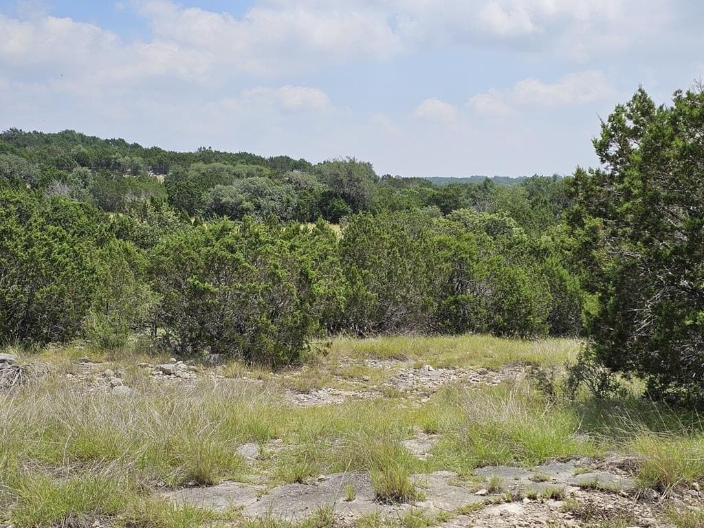 124.89 acres in Edwards County - photo 22