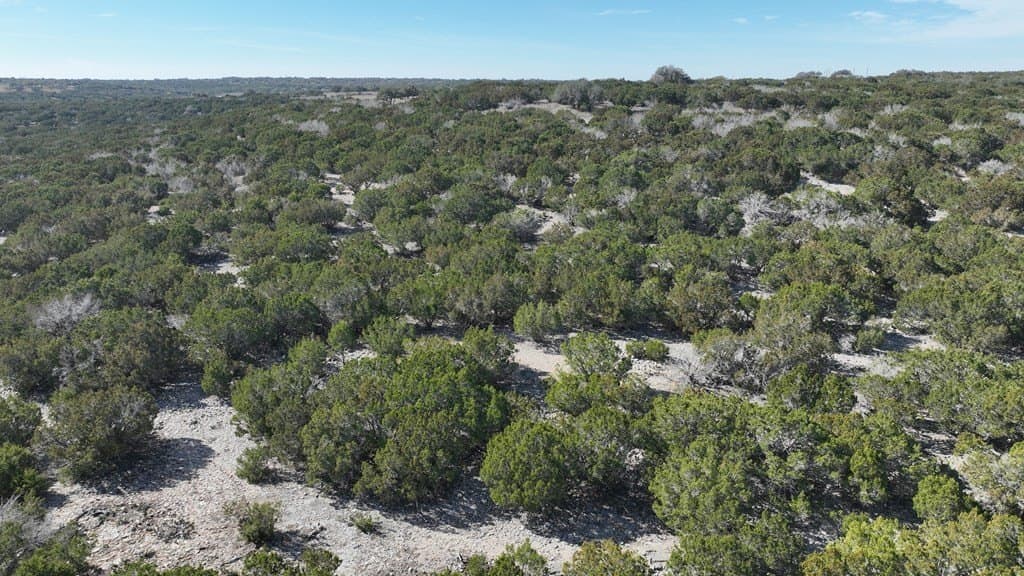 124.89 acres in Edwards County - photo 8