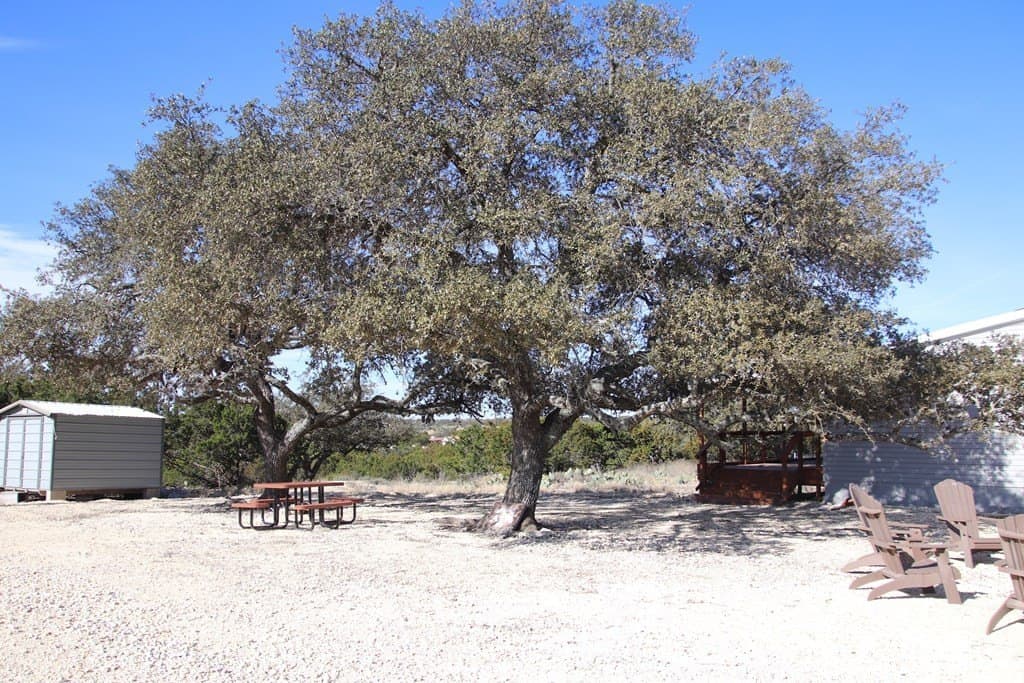 124.89 acres in Edwards County - photo 9