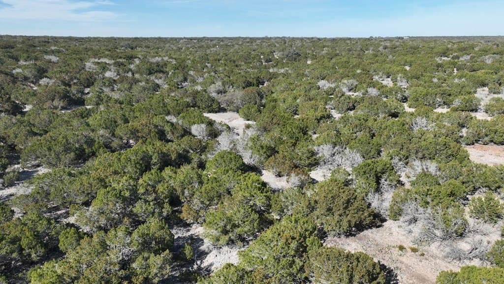 124.89 acres in Edwards County - photo 15