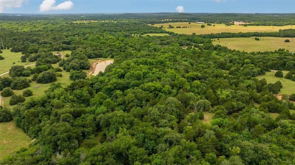 48 acres in Cooke County gallery image 3