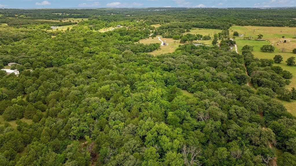 48 acres in Cooke County gallery image 4