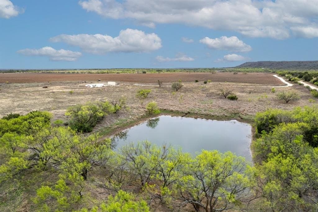 162 acres in Coleman County gallery image 3