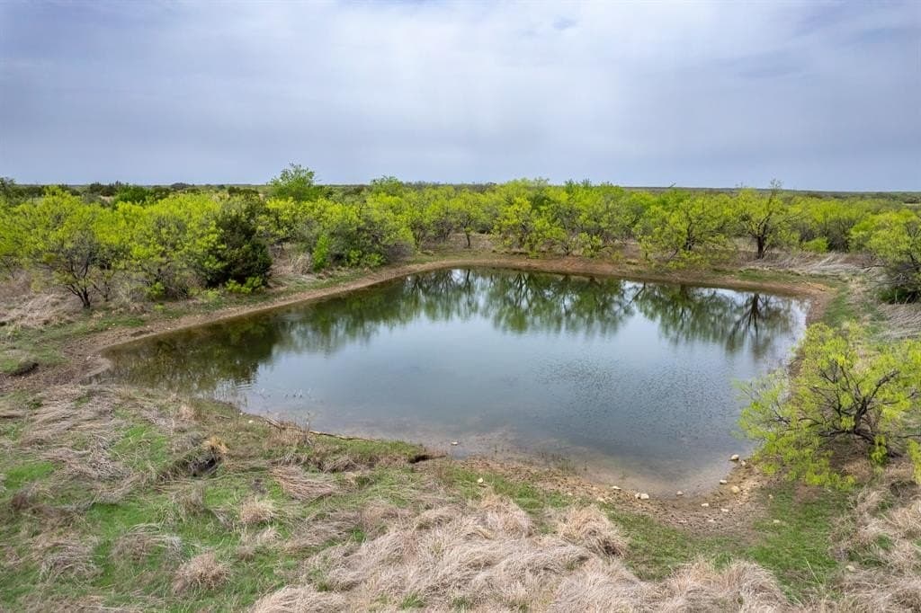 162 acres in Coleman County gallery image 2