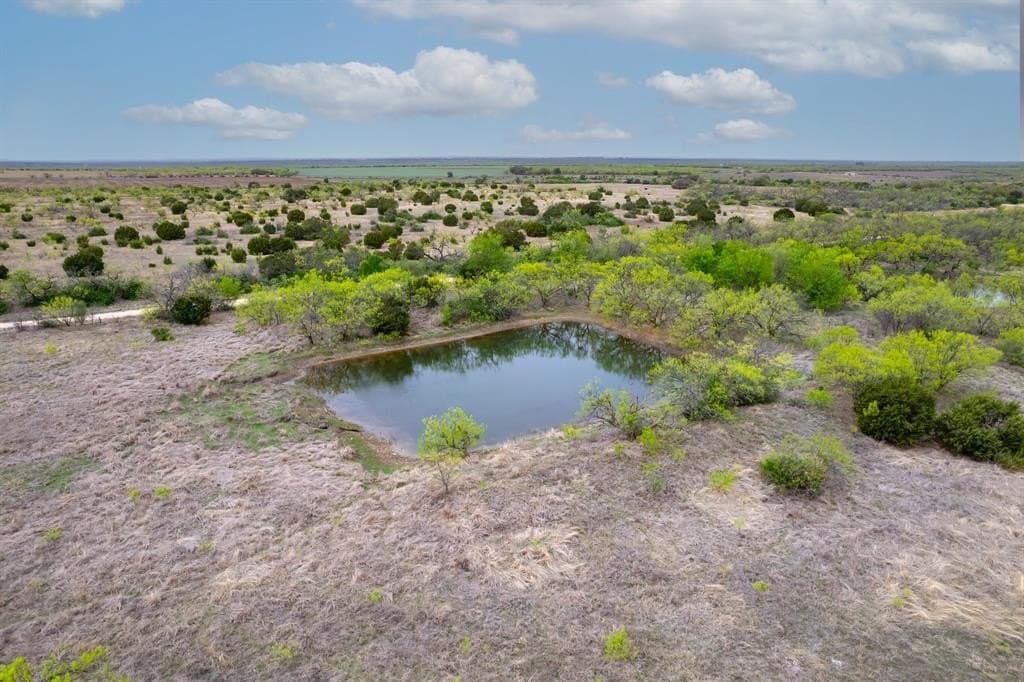162 acres in Coleman County gallery image 4