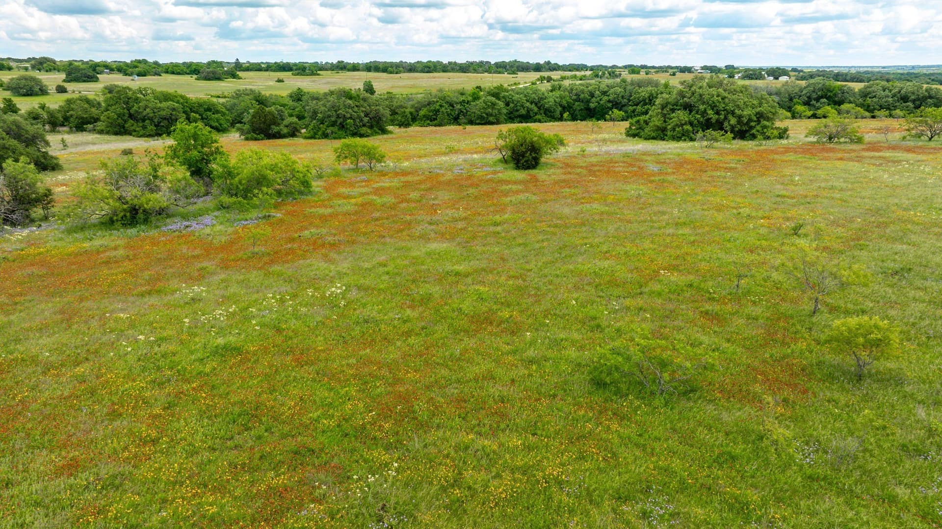 35 acres in Erath County - photo 8
