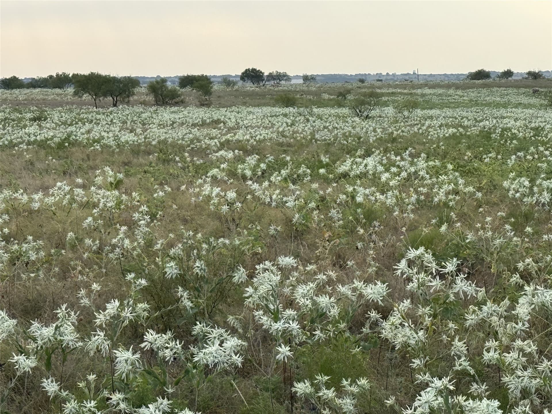 16.2 acres in Wise County - photo 4