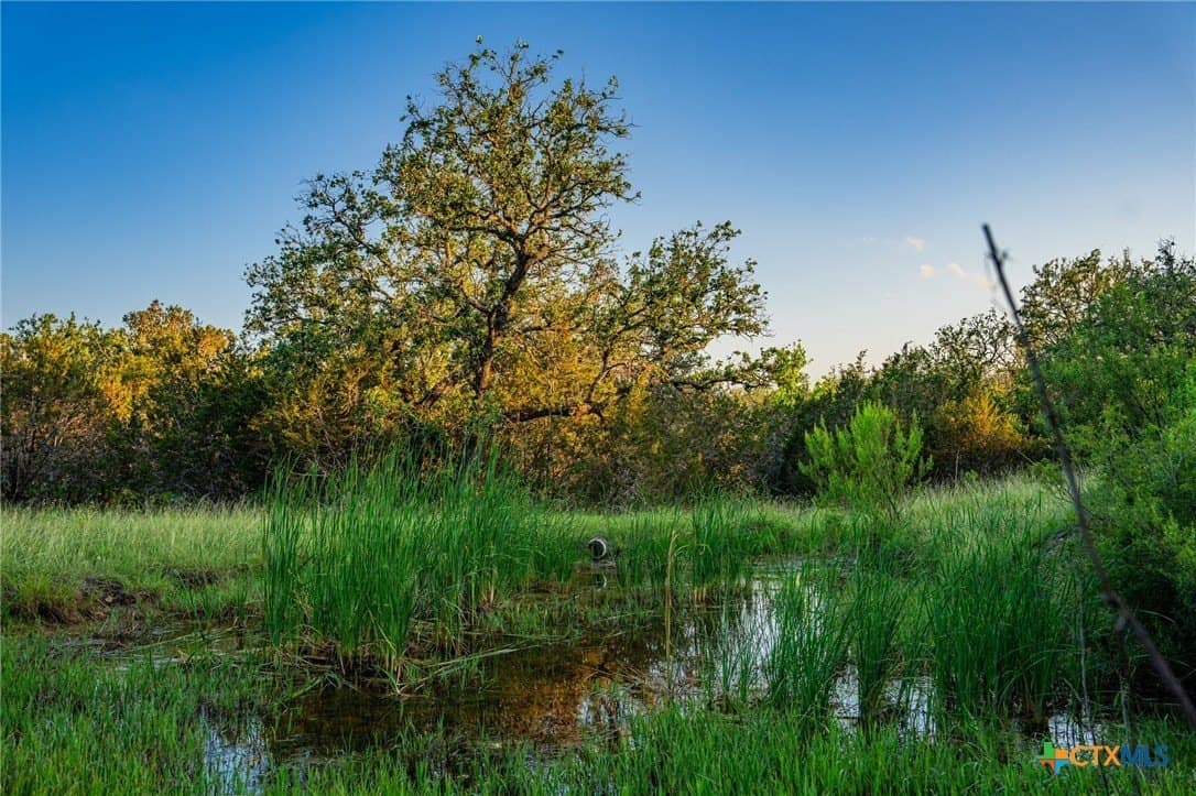 220 acres in Burnet County - photo 13