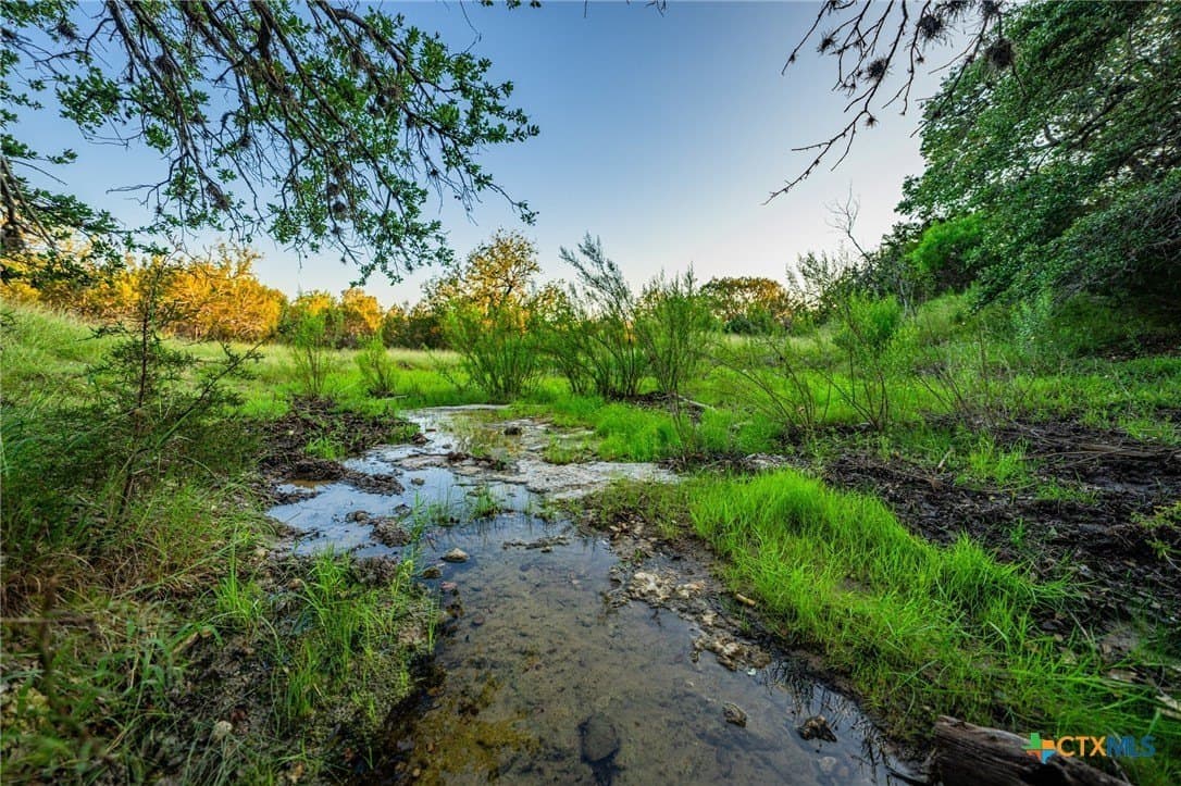220 acres in Burnet County - photo 12