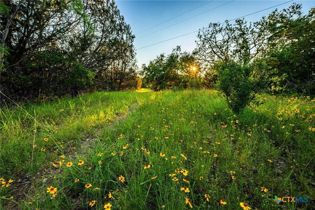 220 acres in Burnet County - photo 36
