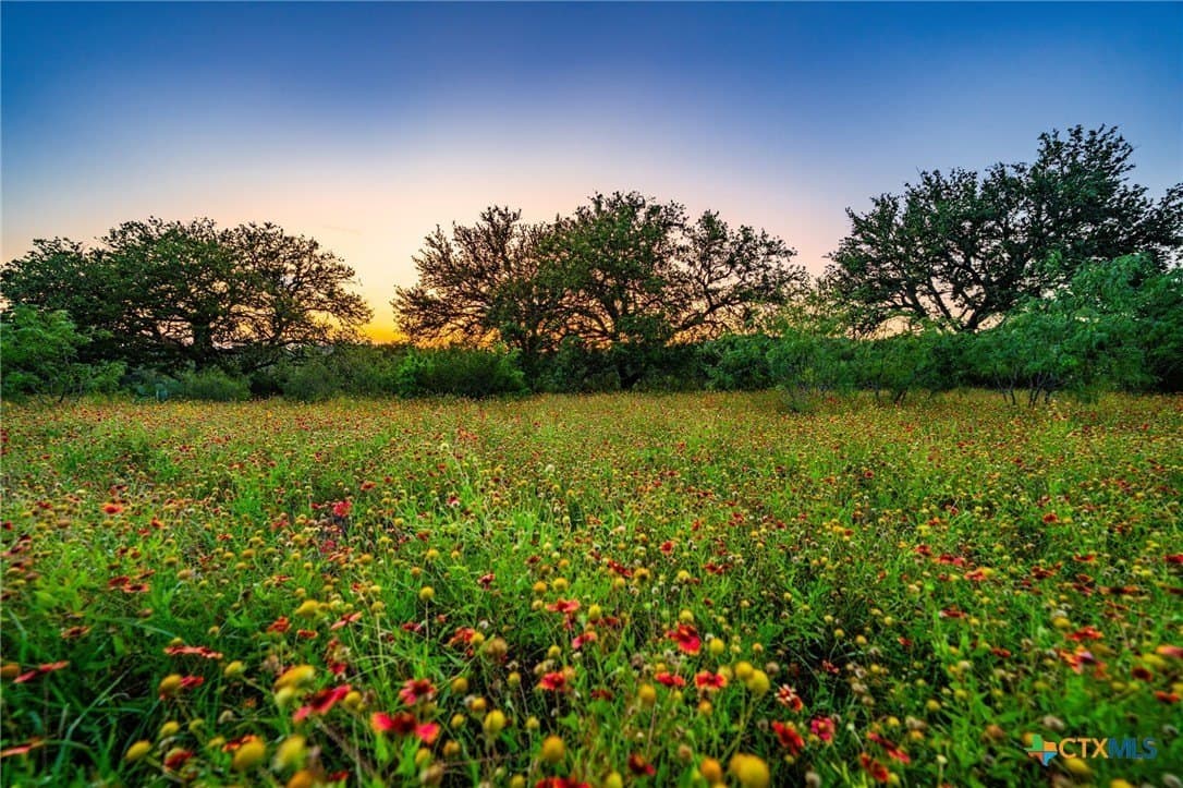 220 acres in Burnet County - photo 6