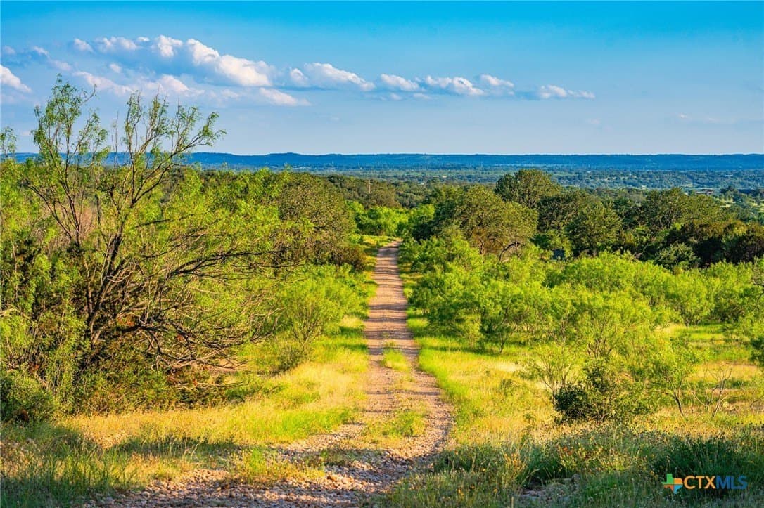 220 acres in Burnet County - photo 14
