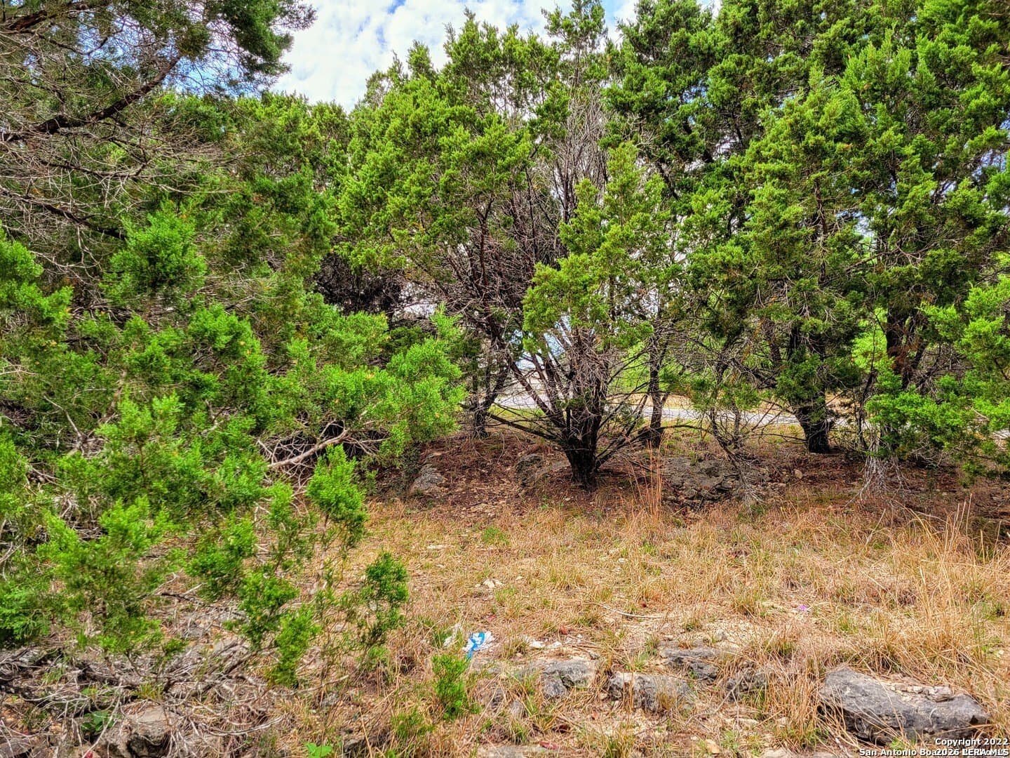 0.39 acres in Comal County - photo 3