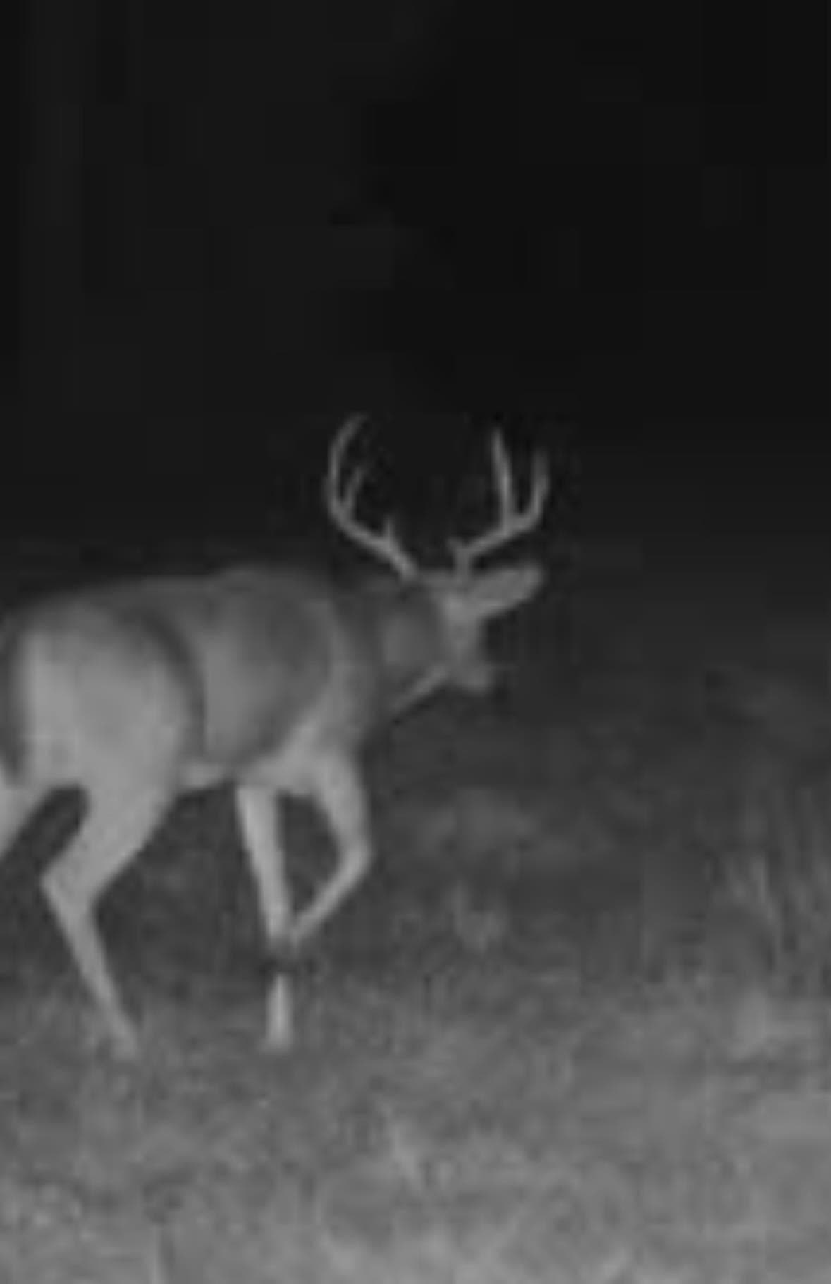 38 acres in Texas County - photo 37