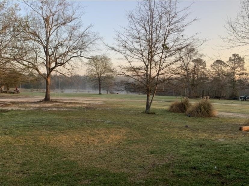 38 acres in Texas County - photo 30