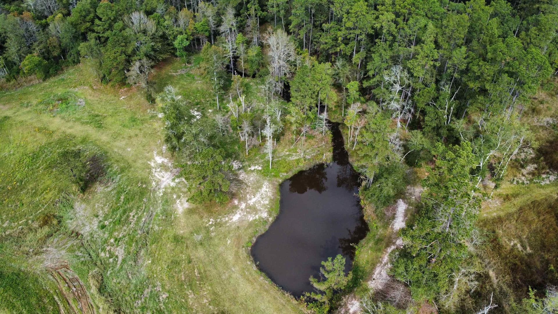 38 acres in Texas County - photo 33