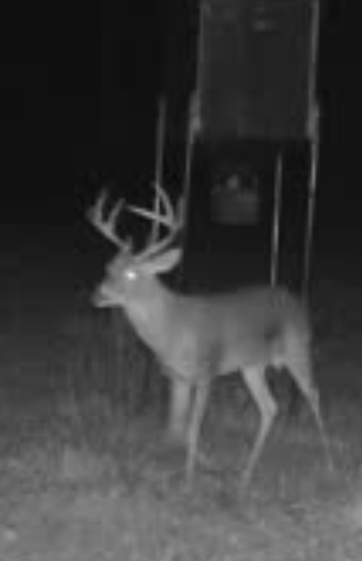 38 acres in Texas County - photo 36