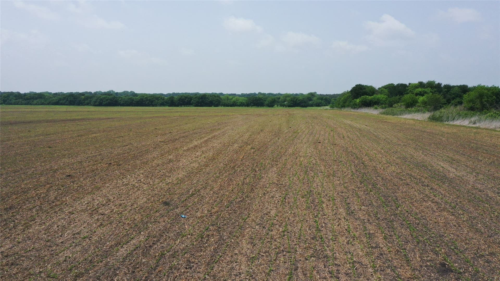 160 acres in Delta County - photo 16