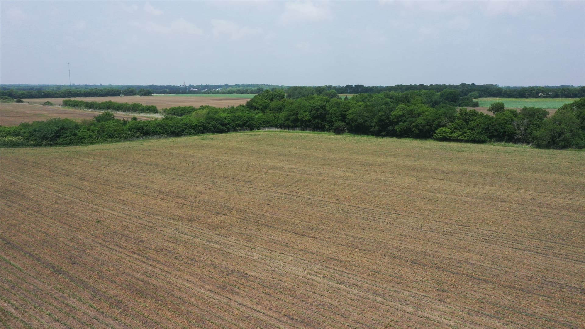 160 acres in Delta County - photo 12