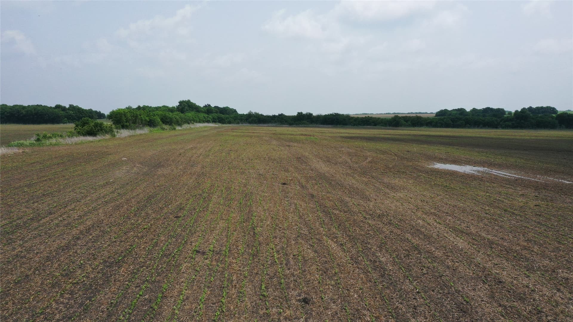 160 acres in Delta County - photo 15