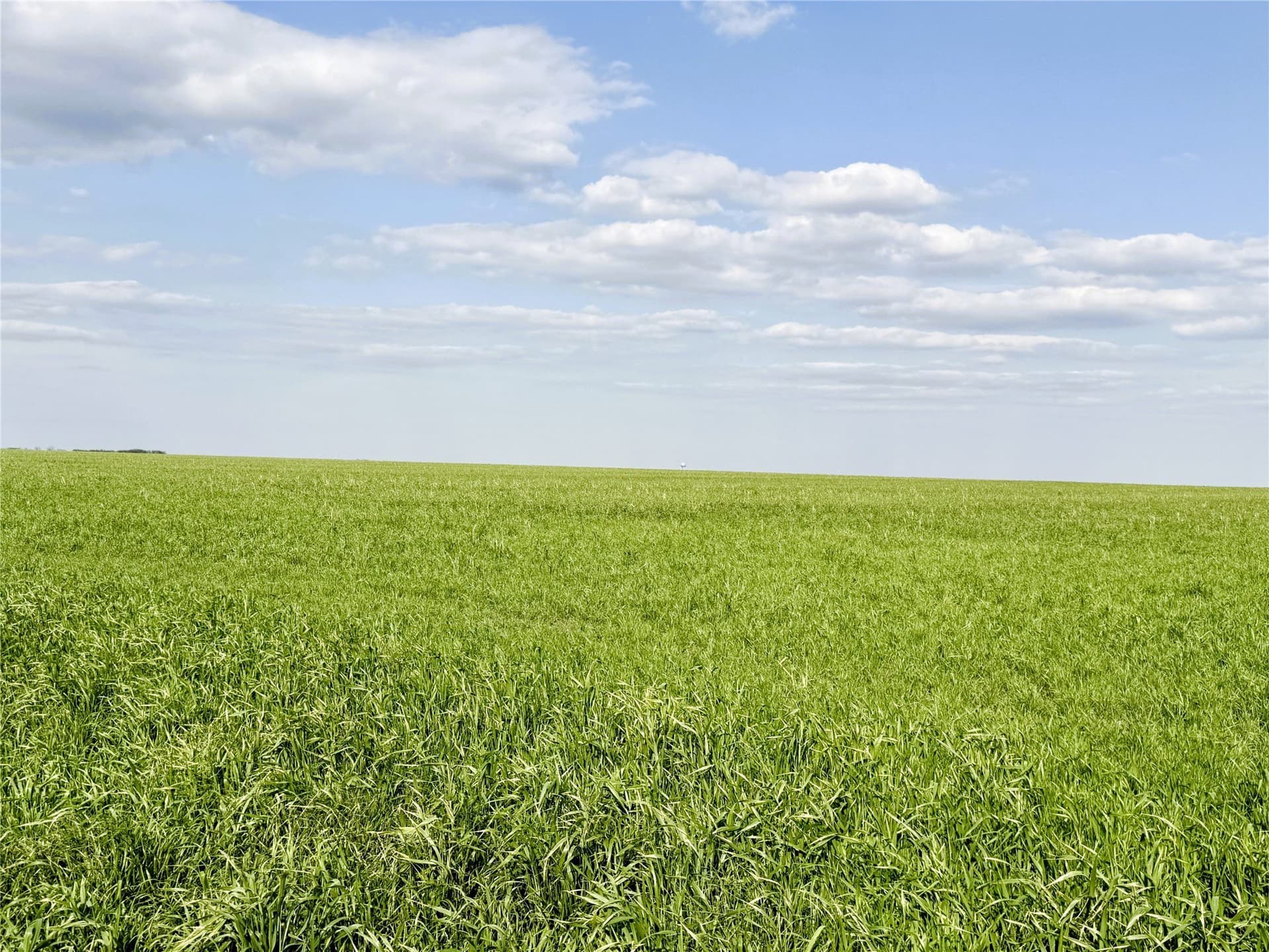 160 acres in Delta County - photo 7