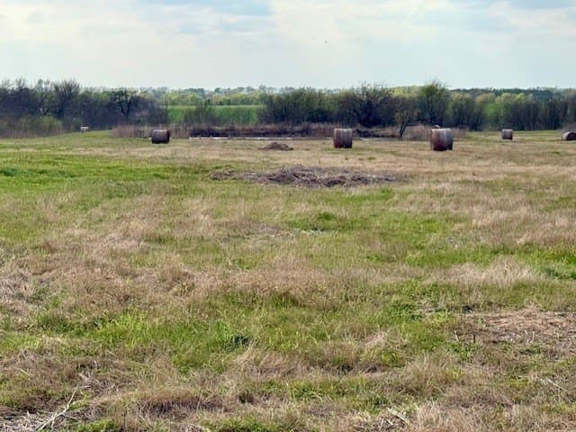 160 acres in Delta County featured view