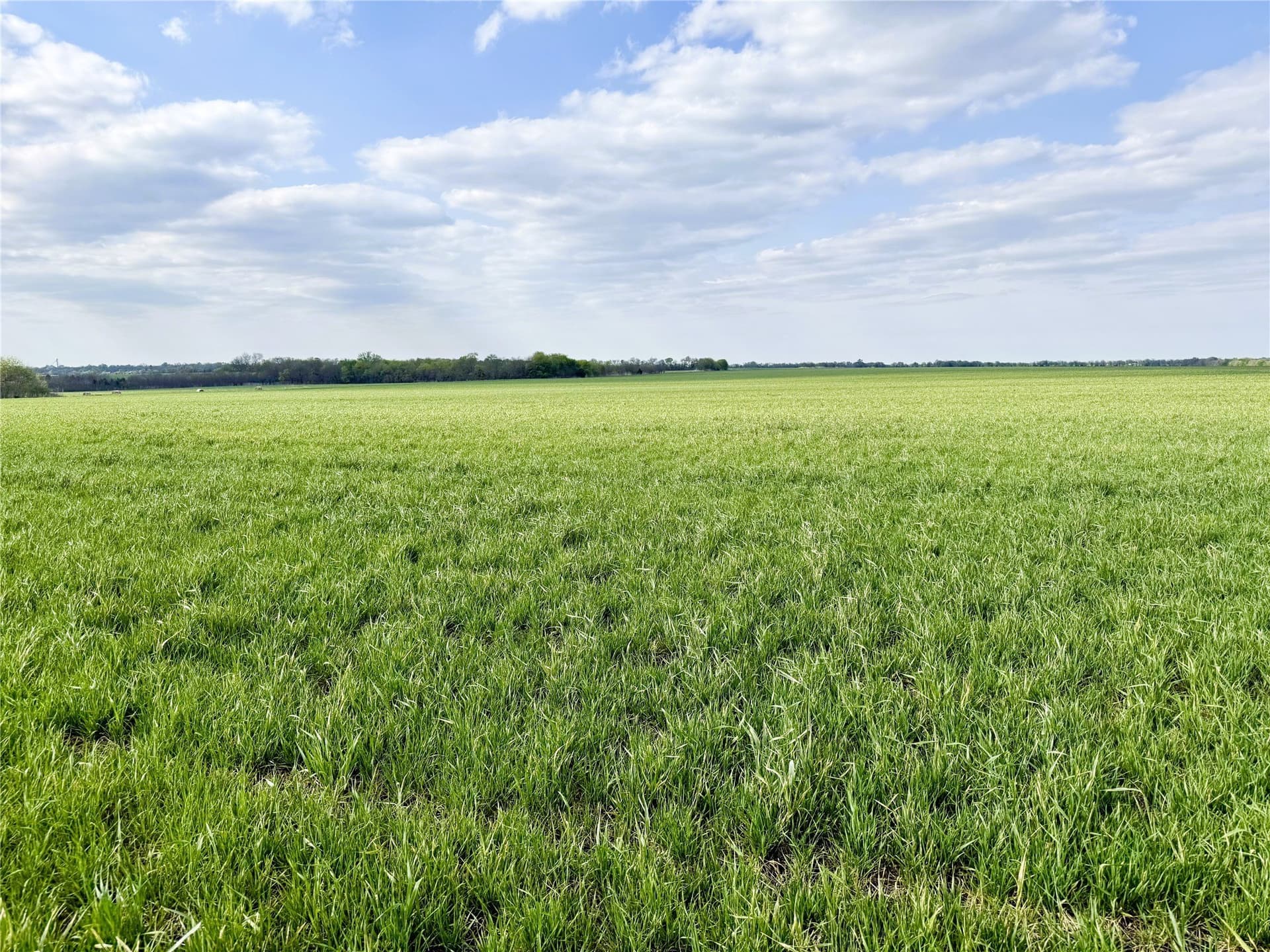 160 acres in Delta County - photo 8