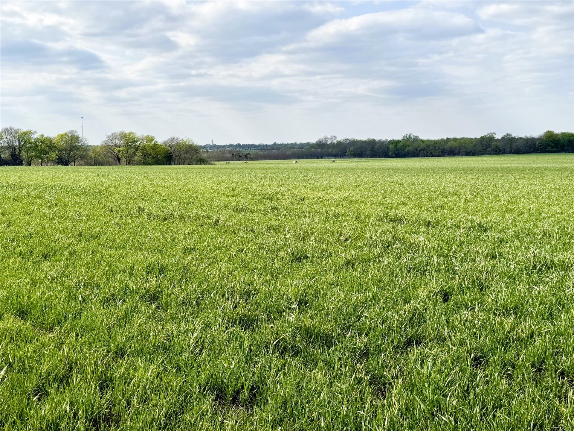 160 acres in Delta County - photo 9