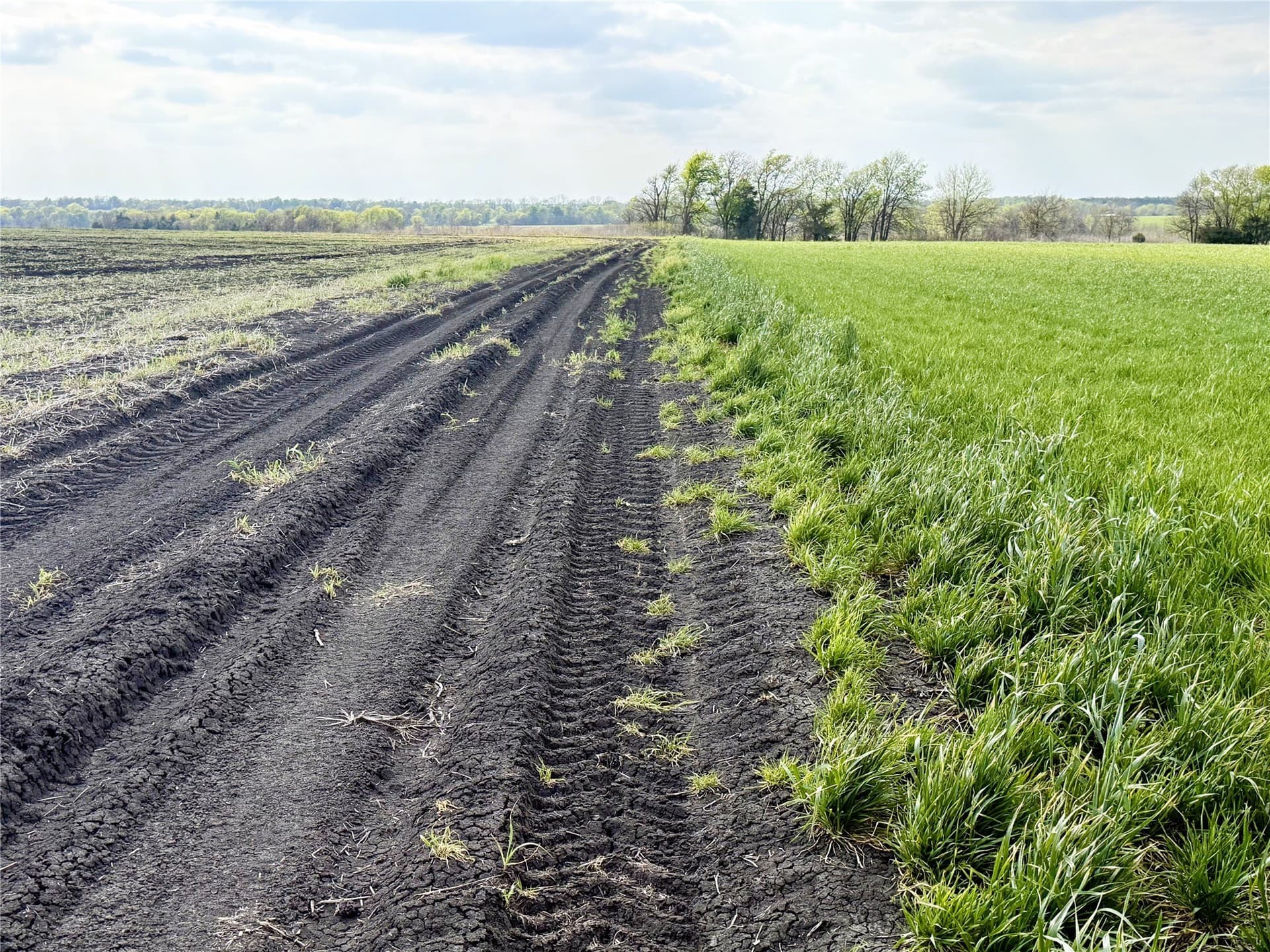 160 acres in Delta County - photo 6