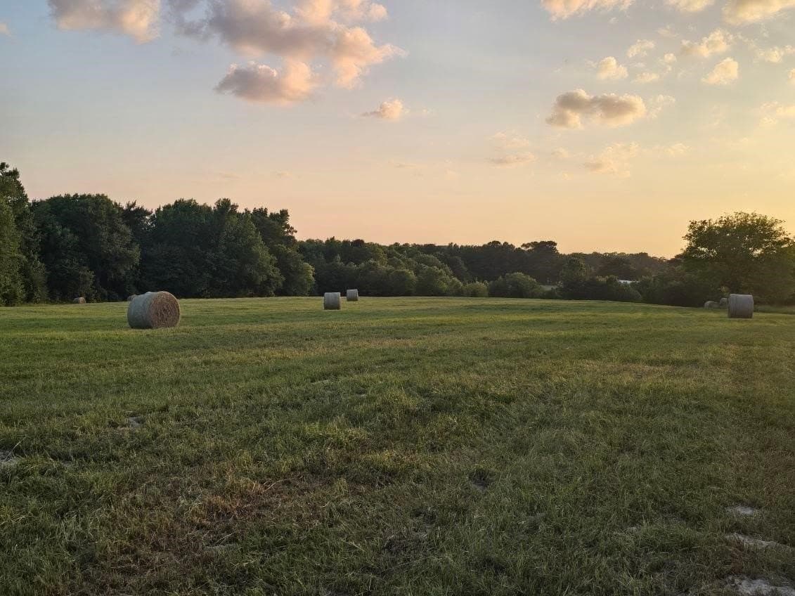 30 acres in Smith County - photo 2