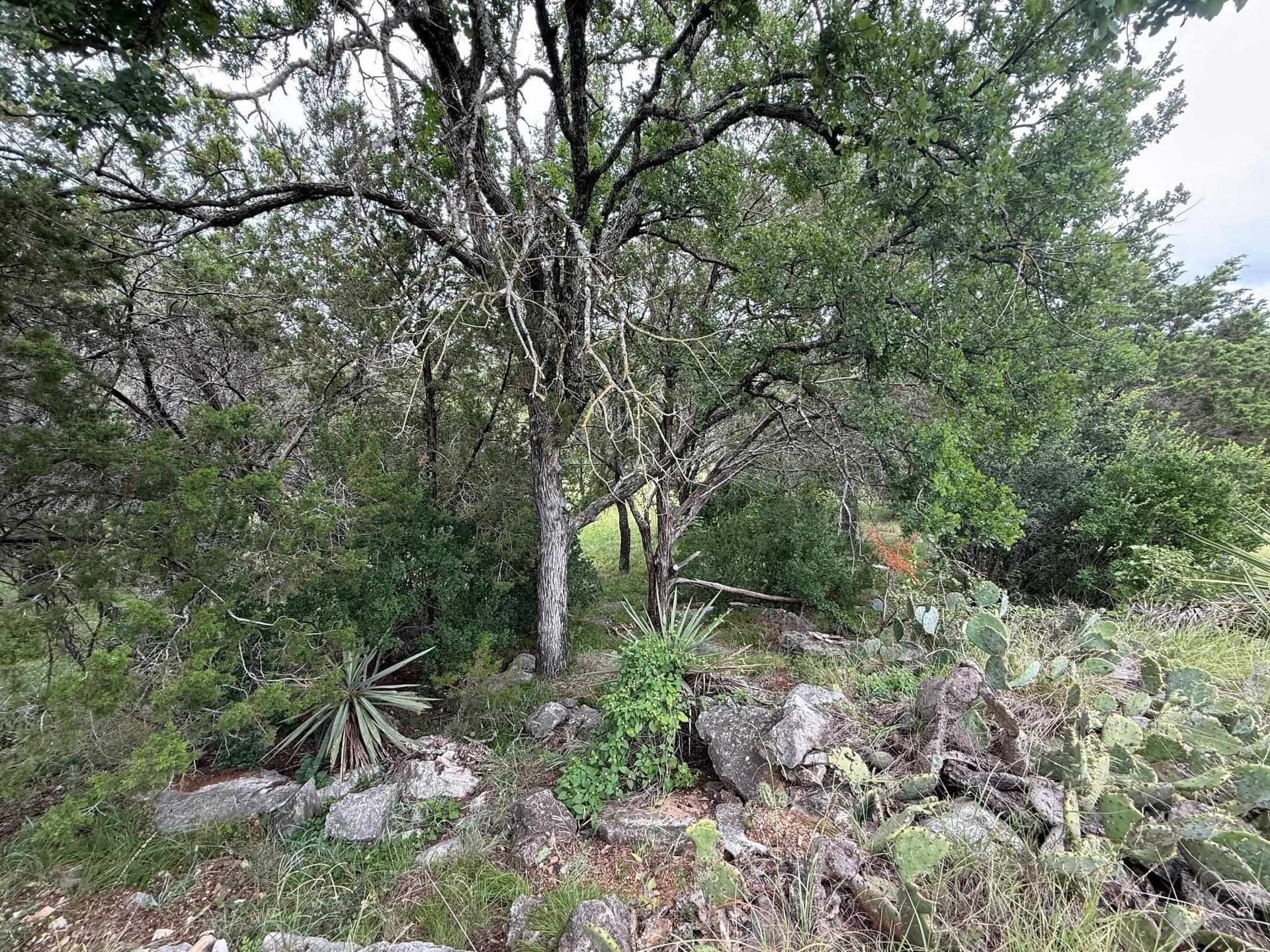 0.29 acres in Llano County gallery image 3
