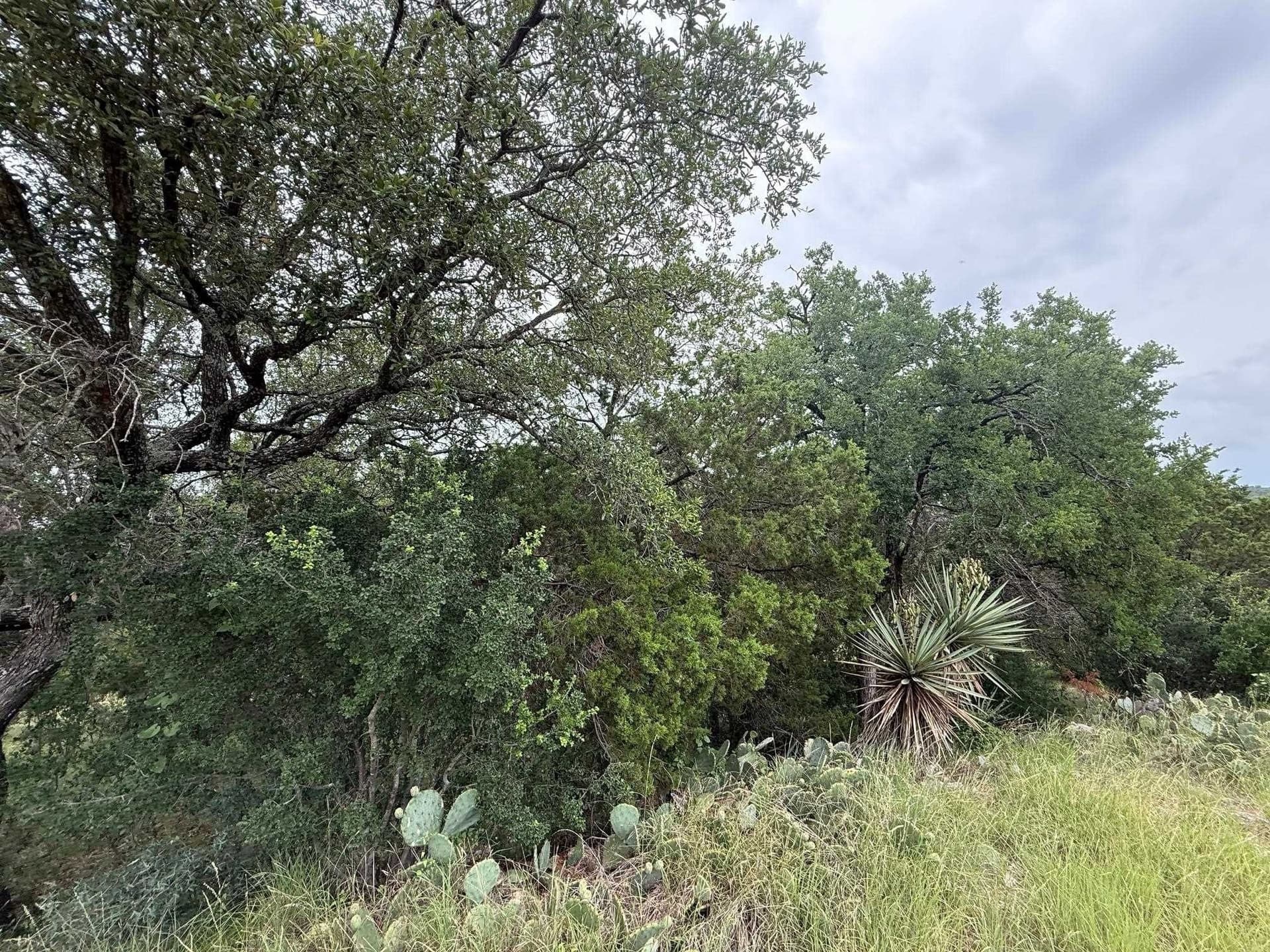 0.29 acres in Llano County gallery image 2