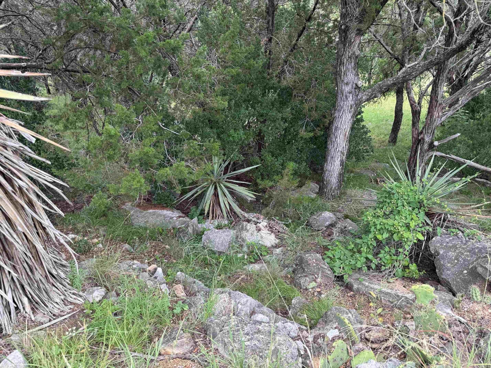 0.29 acres in Llano County gallery image 4