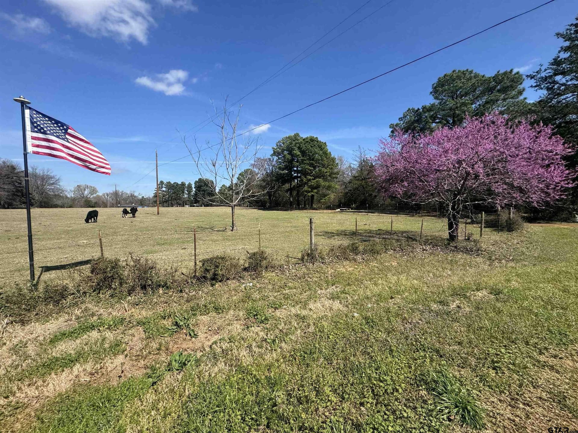 19.82 acres in Van Zandt County gallery image 3