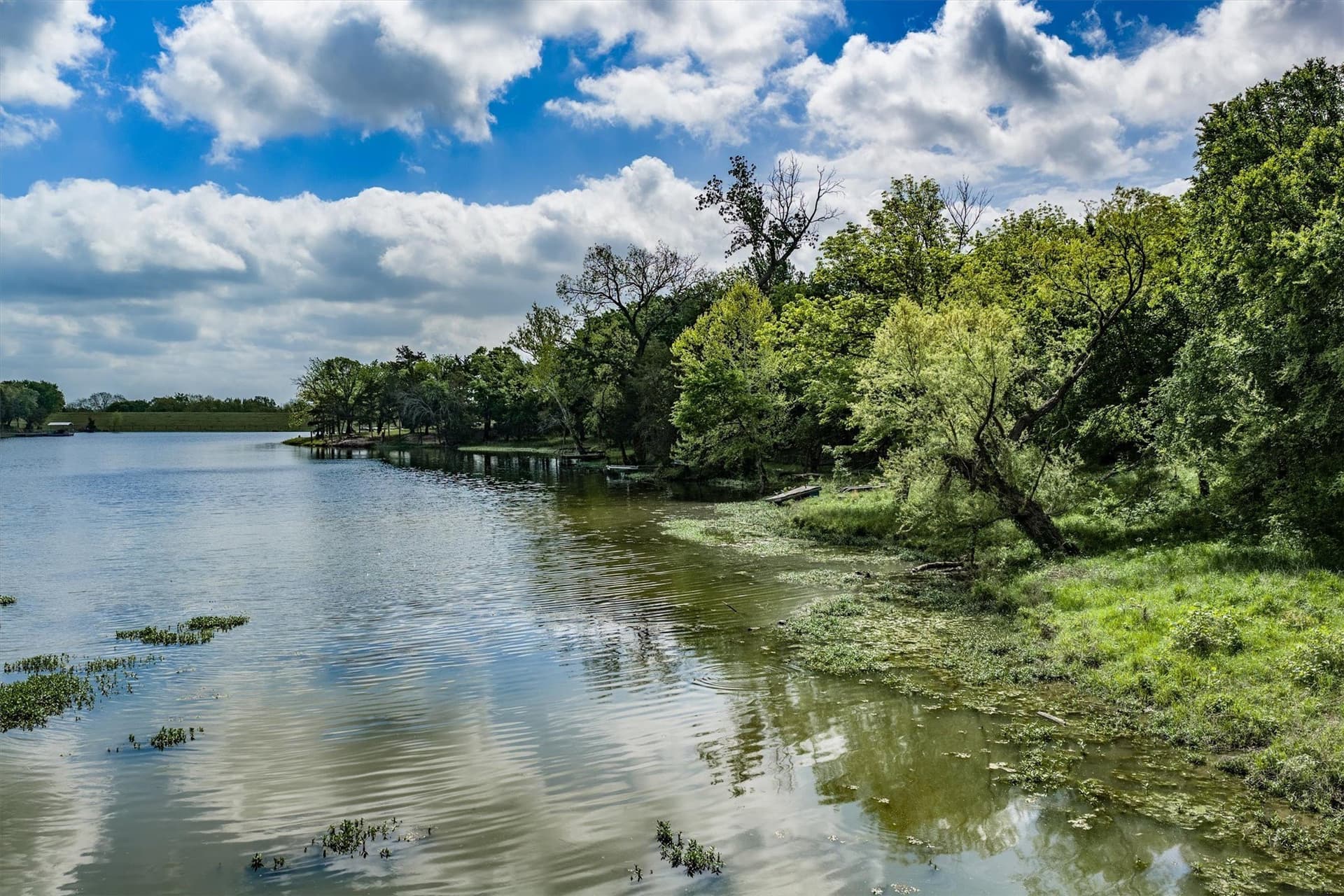 24.29 acres in Collin County - photo 8