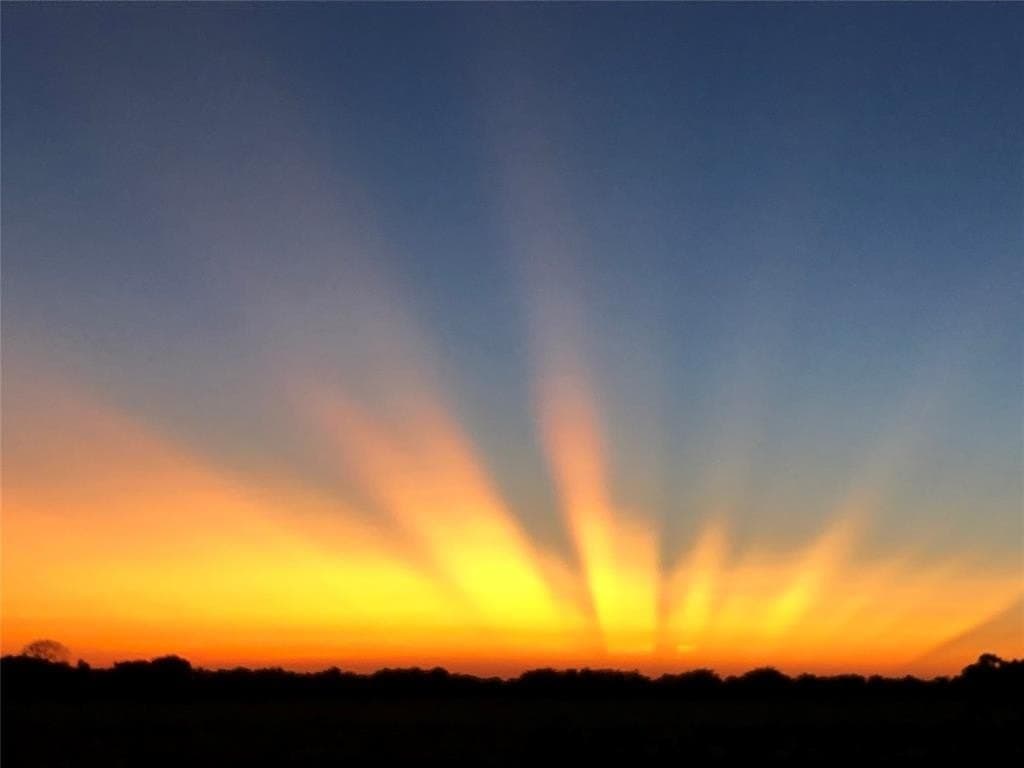 2 acres in Grayson County gallery image 3