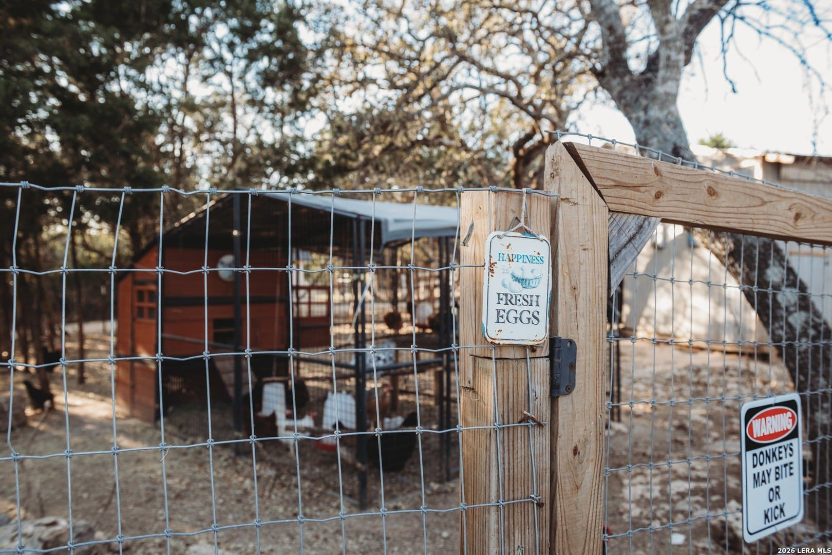 16.68 acres in Bexar County - photo 33