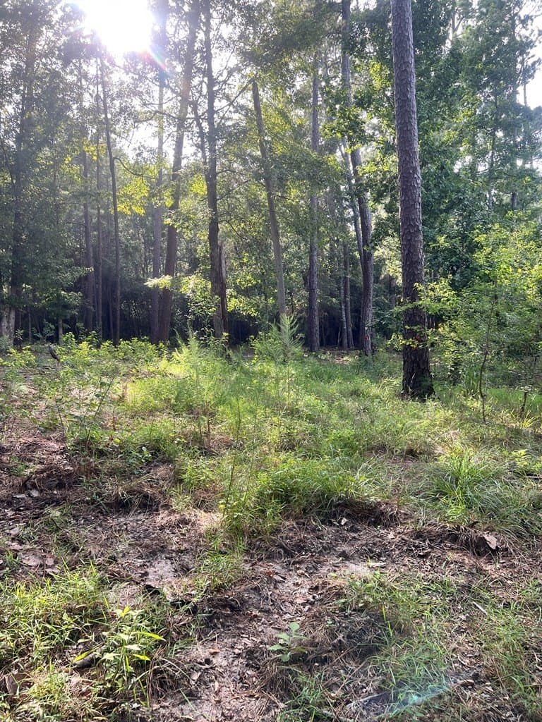 3.55 acres in Texas County - photo 10