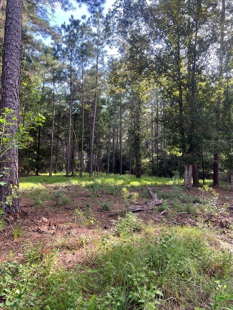 3.55 acres in Texas County - photo 8