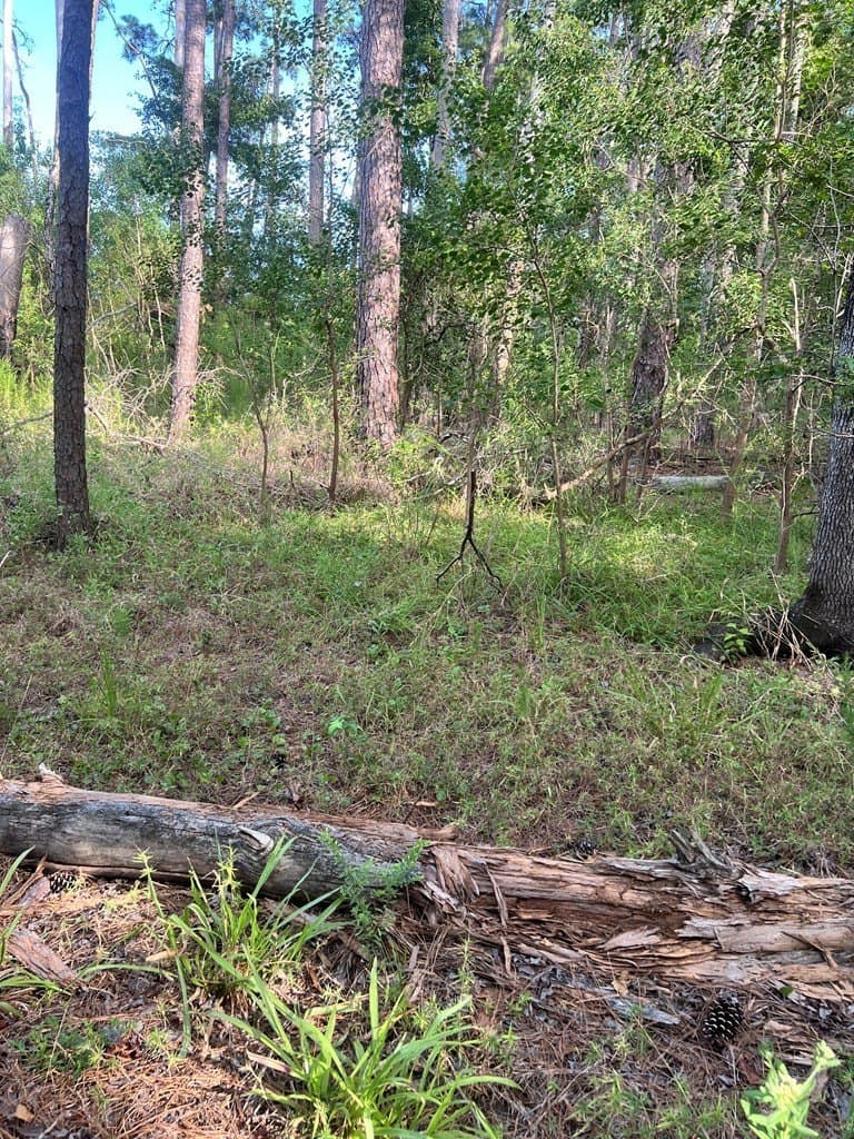 3.55 acres in Texas County - photo 12
