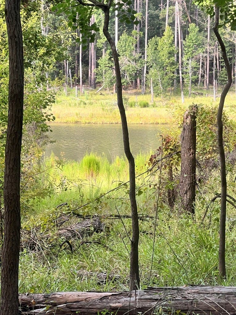 3.55 acres in Texas County - photo 16