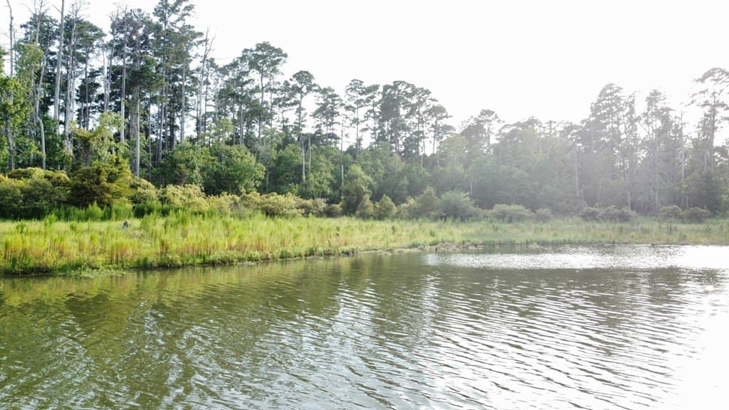 3.55 acres in Texas County - photo 22