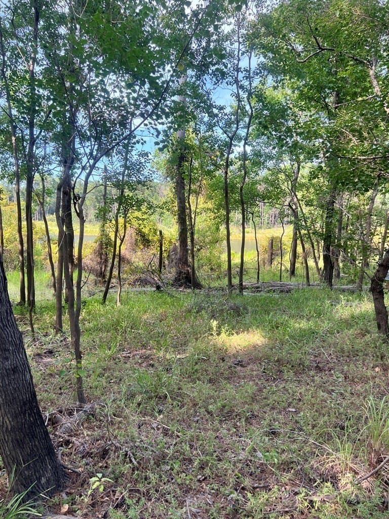 3.55 acres in Texas County - photo 14