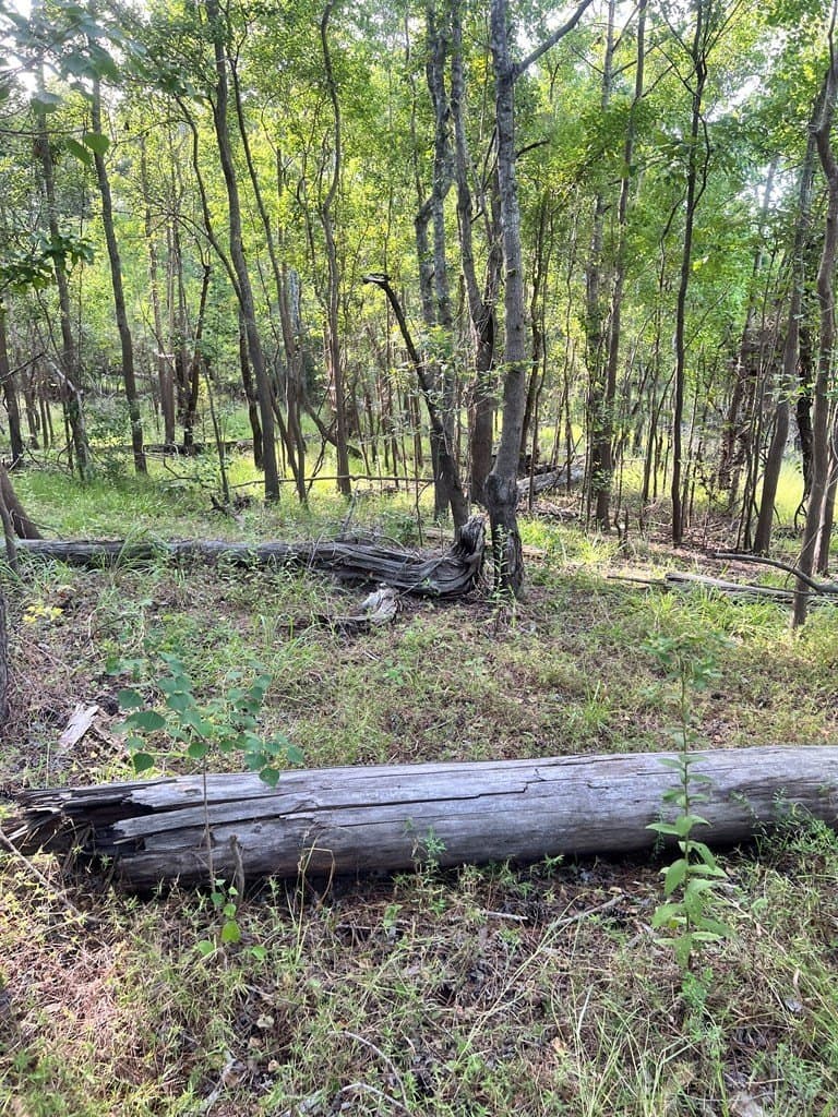 3.55 acres in Texas County - photo 11