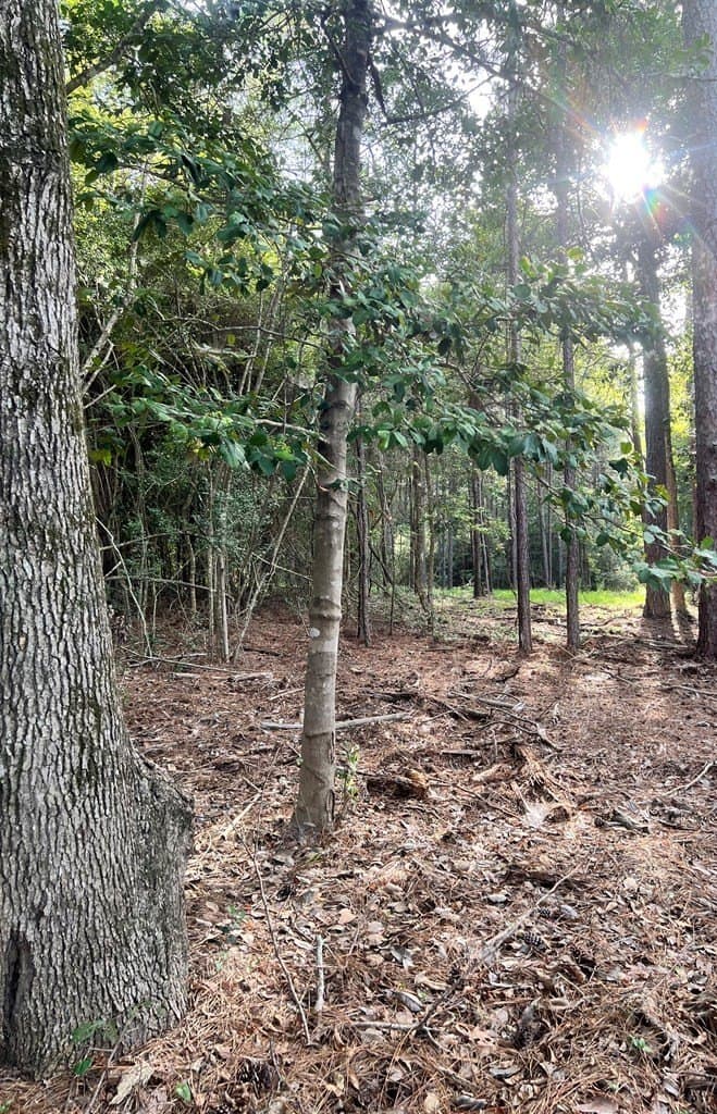 3.55 acres in Texas County featured view